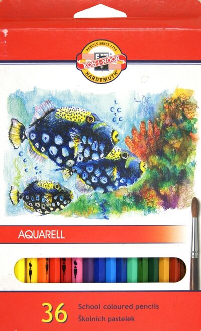 Карандаши цветные акварельные "Рыбки" (36 цветов) (3719(04KS) Koh-I-Noor 