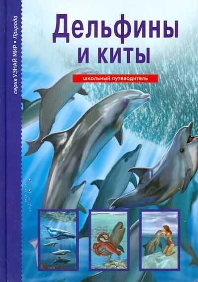 Книга: Дельфины и киты (Дунаева Юлия Александровна) ; Балтийская книжная компания, 2020 