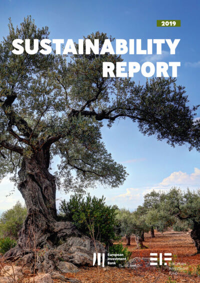 Книга: European Investment Bank Group Sustainability Report 2019 (Группа авторов) ; Bookwire