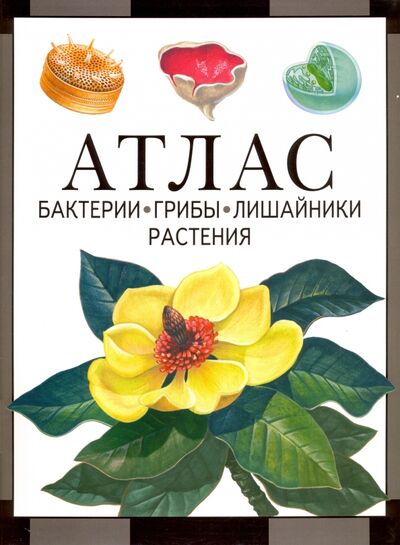 Книга: Атлас. Бактерии, грибы, лишайники, растения (Черепанов Иван Владимирович) ; МЦНМО, 2024 