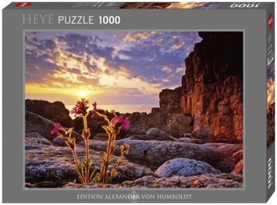 Puzzle-1000 "Красный цветок, Nature" (29671) Heye 