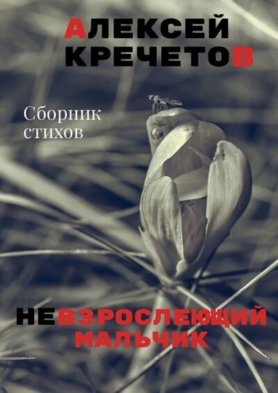 Книга: Невзрослеющий мальчик (Алексей Кречетов) ; Издательские решения
