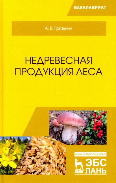 Книга: Недревесная продукция леса. Учебник (Грязькин Анатолий Васильевич) ; Лань, 2019 