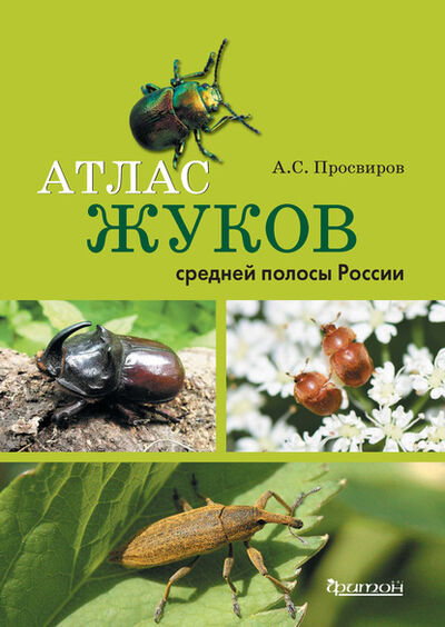 Книга: Атлас жуков средней полосы России (Александр Просвиров) ; Фитон XXI, 2019 