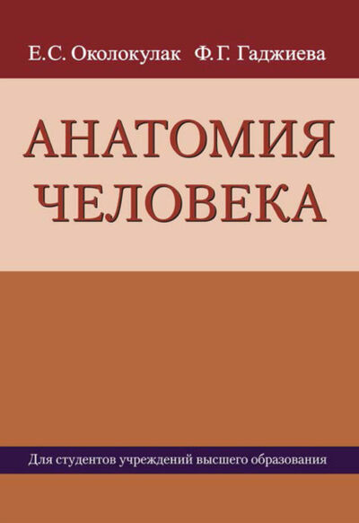Книга: Анатомия человека (Е. С. Околокулак) ; Вышэйшая школа, 2020 