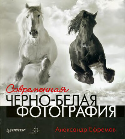 Книга: Современная черно-белая фотография (Александр Ефремов) ; Питер, 2011 