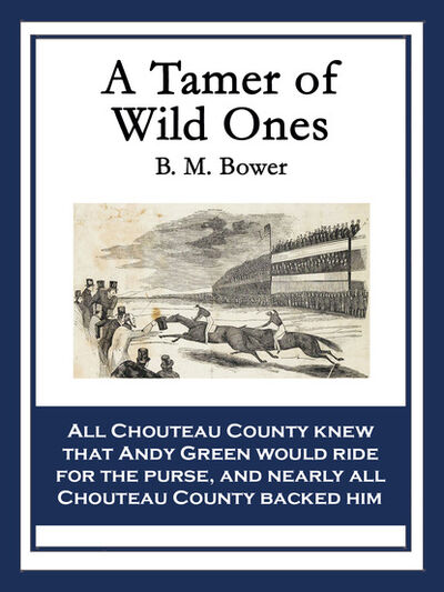 Книга: A Tamer of Wild Ones (B. M. Bower) ; Ingram