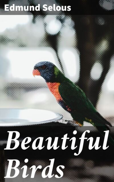 Книга: Beautiful Birds (Edmund Selous) ; Bookwire