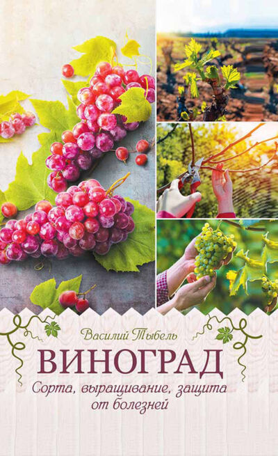 Книга: Виноград. Сорта, выращивание, защита от болезней (Василий Тыбель) ; Книжный Клуб «Клуб Семейного Досуга», 2020 