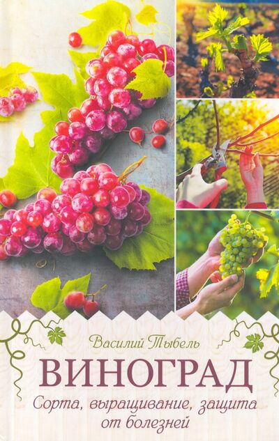 Книга: Виноград. Сорта, выращивание, защита от болезней (Тыбель Василий) ; Клуб семейного досуга, 2020 
