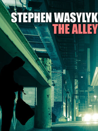 Книга: The Alley (Stephen Wasylyk) ; Ingram