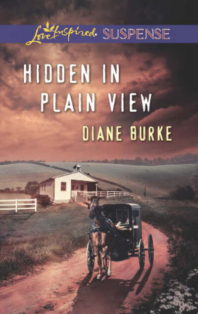 Книга: Hidden in Plain View (Diane Burke) ; HarperCollins