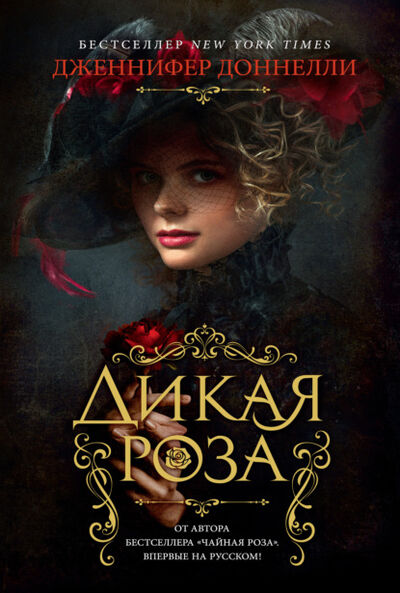 Книга: Дикая роза (Дженнифер Доннелли) ; Азбука-Аттикус, 2011 