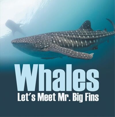 Книга: Whales - Let's Meet Mr. Big Fins (Baby Professor) ; Ingram