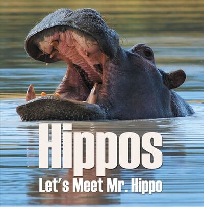 Книга: Hippos - Let's Meet Mr. Hippo (Baby Professor) ; Ingram