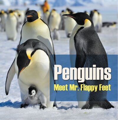 Книга: Penguins - Meet Mr. Flappy Feet (Baby Professor) ; Ingram