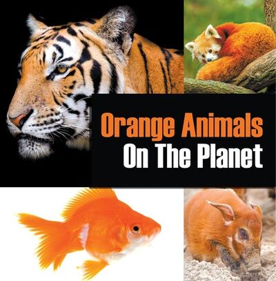 Книга: Orange Animals On The Planet (Baby Professor) ; Ingram