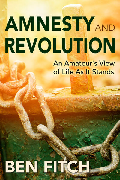 Книга: Amnesty and Revolution: An Amateur's View of Life As It Stands (Ben Fitch) ; Ingram