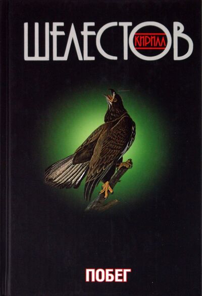 Книга: Побег (Шелестов Кирилл) ; Захаров, 2013 
