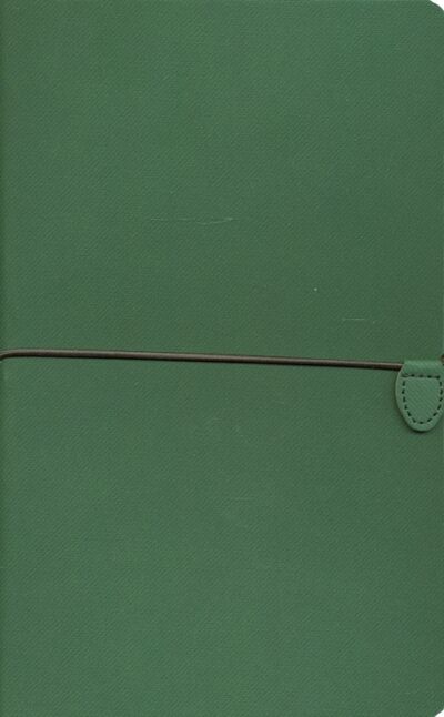 Ежедневник недатированный А5 Freddie зеленый, зеленый обрез (24716/15) Enote 