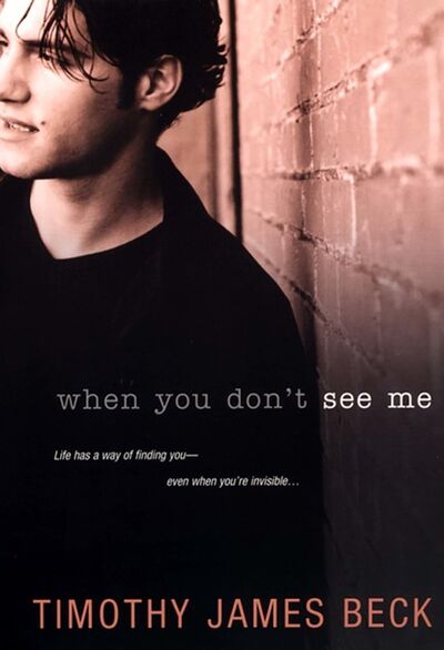 Книга: When You Don't See Me (Timothy James Beck) ; Ingram