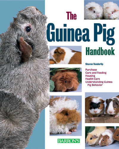 Книга: The Guinea Pig Handbook (Sharon Vanderlip) ; Ingram