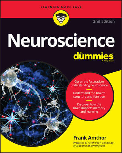 Книга: Neuroscience For Dummies (Frank Amthor) ; John Wiley & Sons Limited