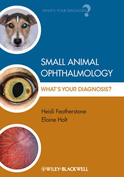Книга: Small Animal Ophthalmology. What's Your Diagnosis? (Featherstone Heidi) ; John Wiley & Sons Limited