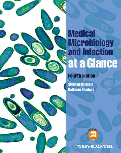 Книга: Medical Microbiology and Infection at a Glance (Bamford Kathleen) ; John Wiley & Sons Limited