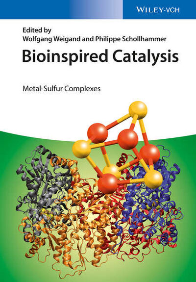 Книга: Bioinspired Catalysis. Metal-Sulfur Complexes (Schollhammer Philippe) ; John Wiley & Sons Limited