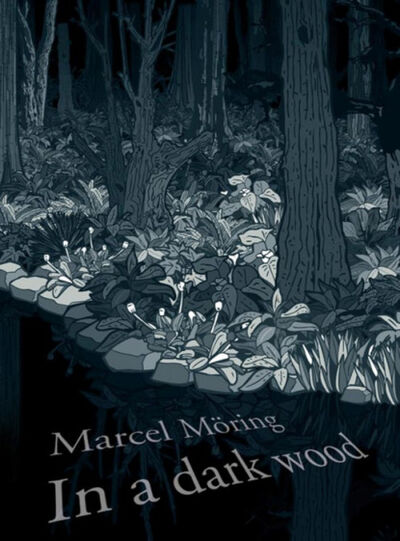 Книга: In A Dark Wood (Shaun Whiteside) ; HarperCollins
