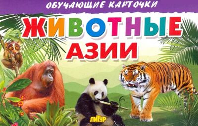 Книга: Карточки. Животные Азии (Татьяна Кулешова) ; Литур, 2016 