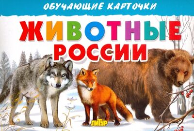 Книга: Карточки. Животные России (Богуславская М. (худ.)) ; Литур, 2016 