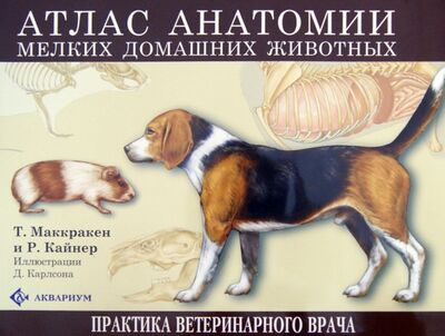 Книга: Атлас анатомии мелких домашних животных (Маккракен Томас О., Кайнер Роберт А.) ; Аквариум-Принт, 2015 