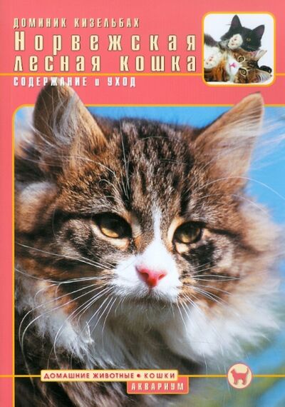 Книга: Норвежская лесная кошка. Содержание и уход (Кизельбах Доминик) ; Аквариум-Принт, 2009 