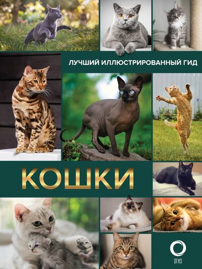 Книга: Кошки. Лучший иллюстрированный гид (Непомнящий Николай Николаевич) ; АСТ, 2021 