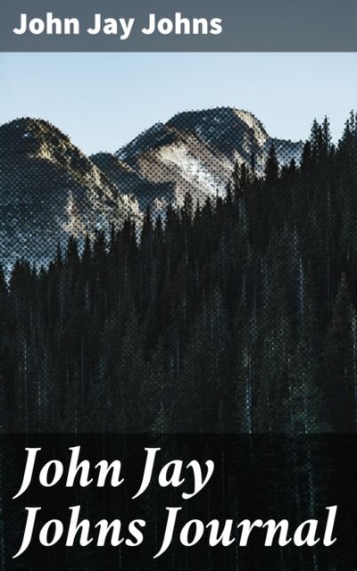 Книга: John Jay Johns Journal (John Jay Johns) ; Bookwire