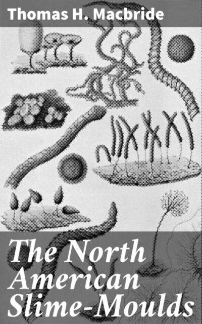 Книга: The North American Slime-Moulds (Thomas H. Macbride) ; Bookwire