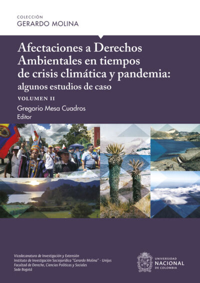 Книга: Afectaciones a Derechos Ambientales en tiempos de crisis climática y pandemia: algunos estudios de caso, volumen II (Luis Fernando Sanchez Supelano) ; Bookwire