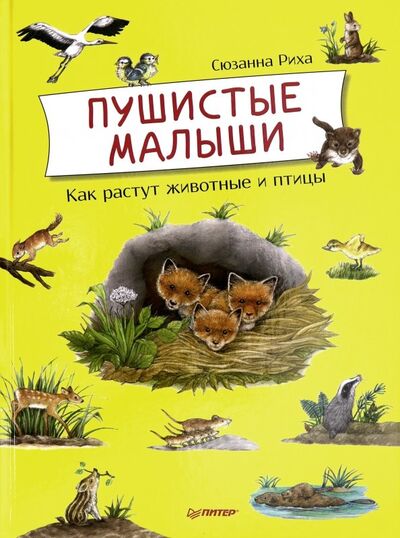 Книга: Пушистые малыши. Как растут животные и птицы (Риха Сюзанна) ; Питер, 2019 