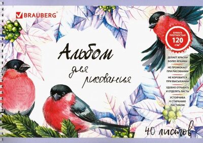 Альбом для рисования "Птицы" (40 листов, А4, гребень) (105103) Brauberg 