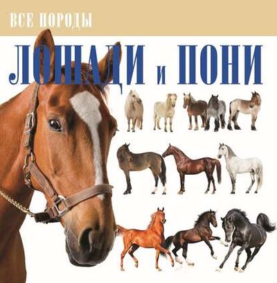 Книга: Лошади и пони (В. М. Жабцев) ; ХАРВЕСТ, 2014 