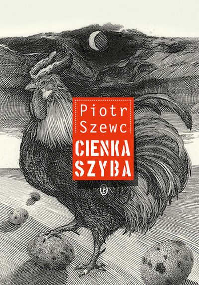 Книга: Cienka szyba (Piotr Szewc) ; PDW