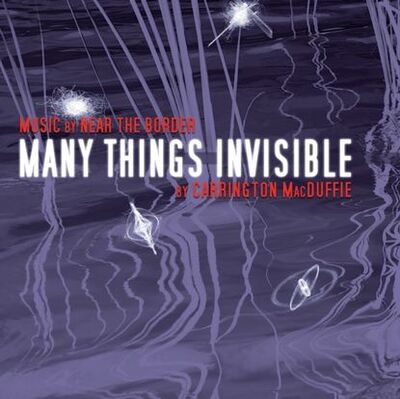 Книга: Many Things Invisible (Carrington MacDuffie) ; Gardners Books