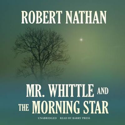 Книга: Mr. Whittle and the Morning Star (Robert Large Nathan) ; Gardners Books