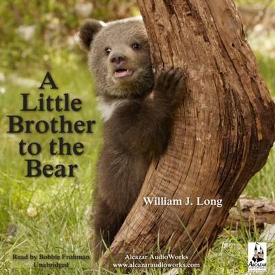 Книга: Little Brother to the Bear, and Other Animal Stories (William J. Long) ; Gardners Books