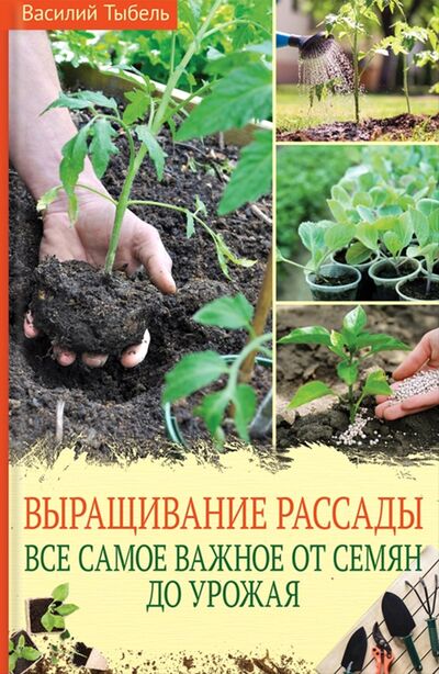Книга: Выращивание рассады. Всё самое важное от семян до урожая (Тыбель Василий) ; Клуб семейного досуга, 2021 