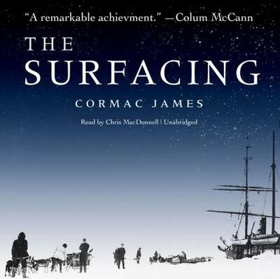 Книга: Surfacing (Cormac James) ; Gardners Books