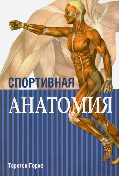 Книга: Спортивная анатомия (Герке Торстен) ; Попурри, 2018 