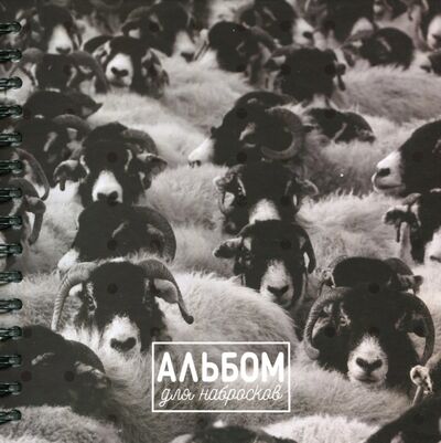 Альбом для набросков 80 листов "Овцы" Попурри 